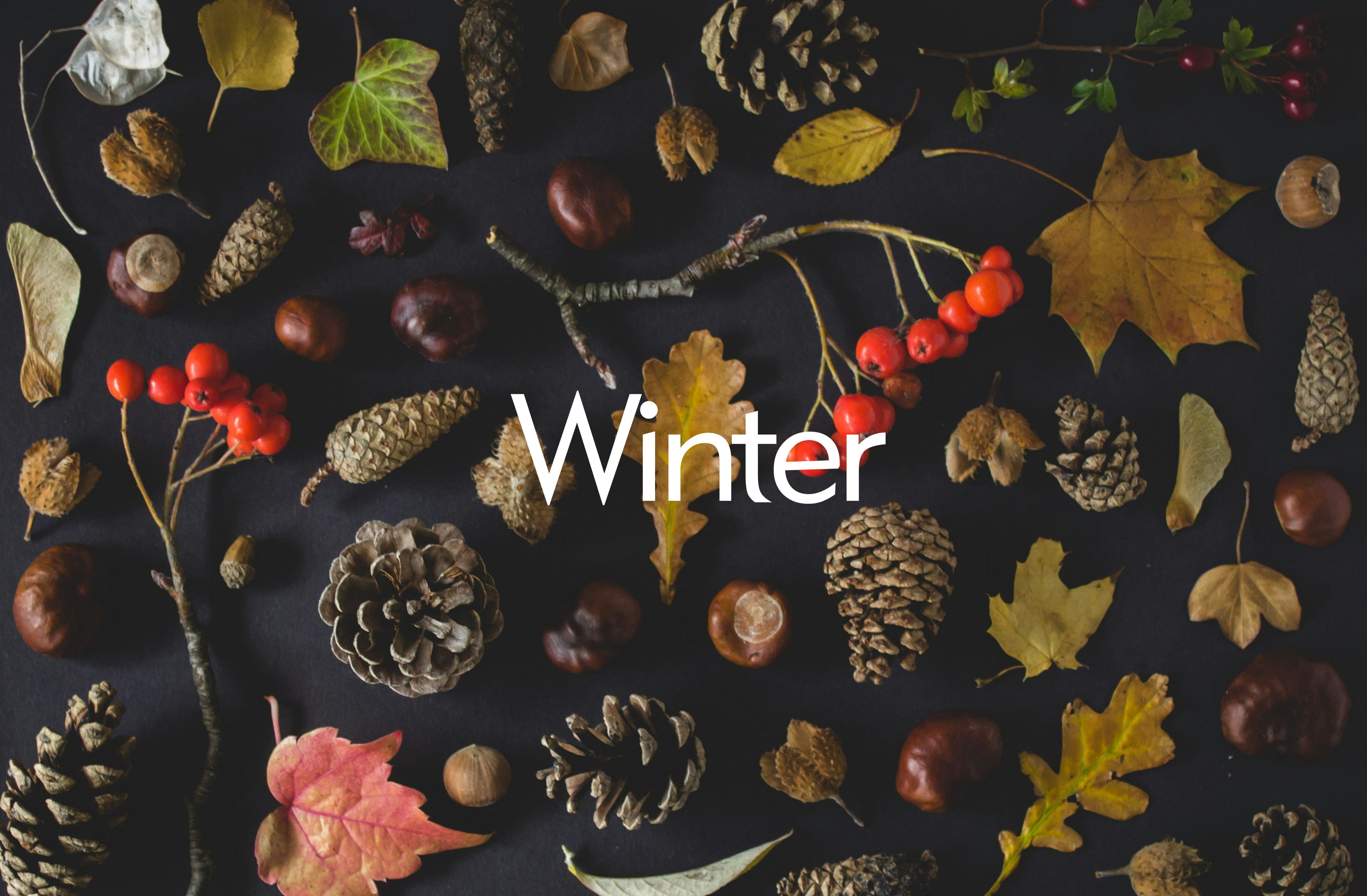 Winter Hot Sale