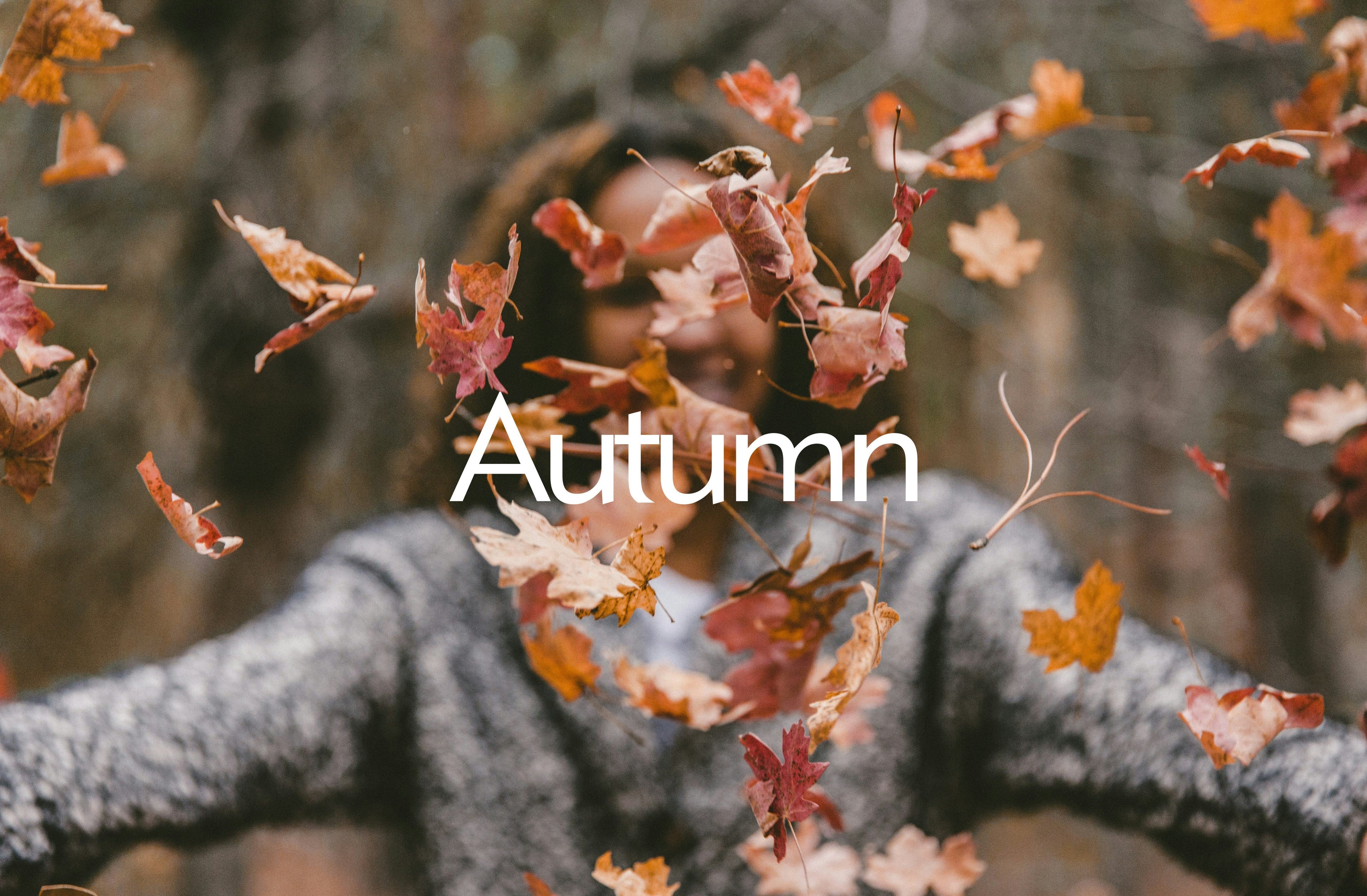Autumn Hot Sellers