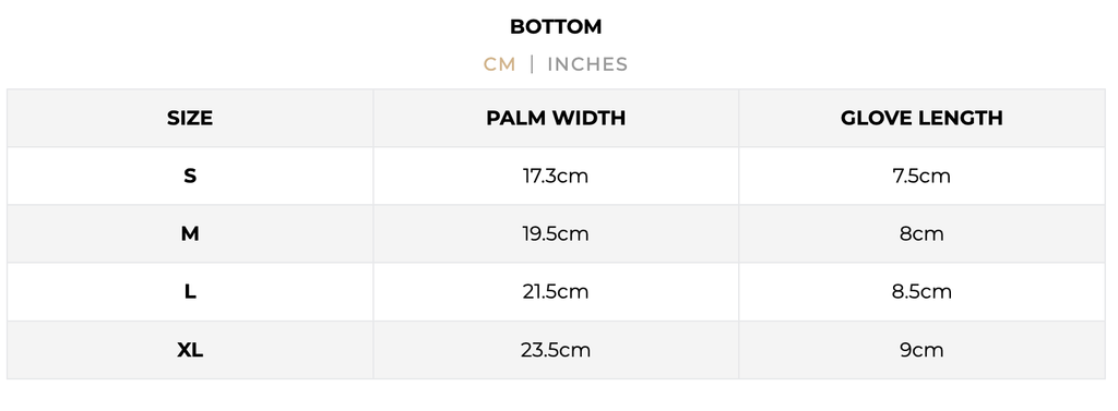 IceGuard Thermal Windproof and Touchscreen Gloves