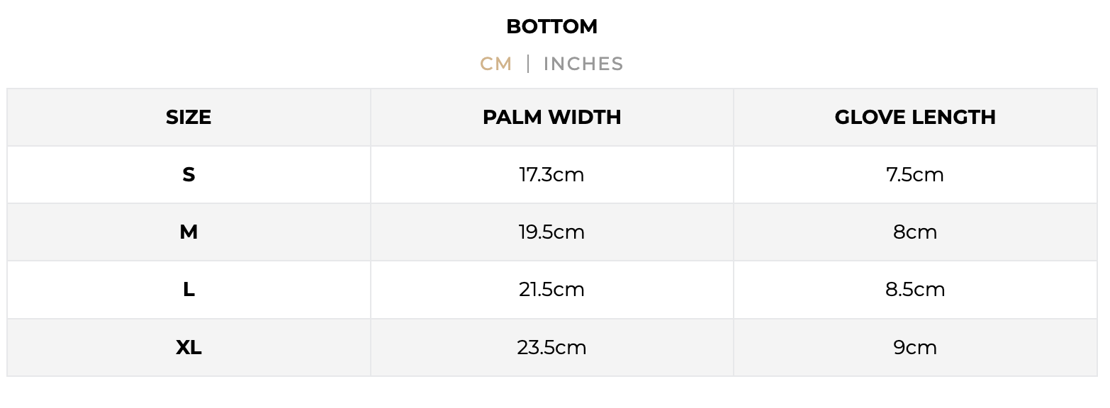 IceGuard Thermal Windproof and Touchscreen Gloves