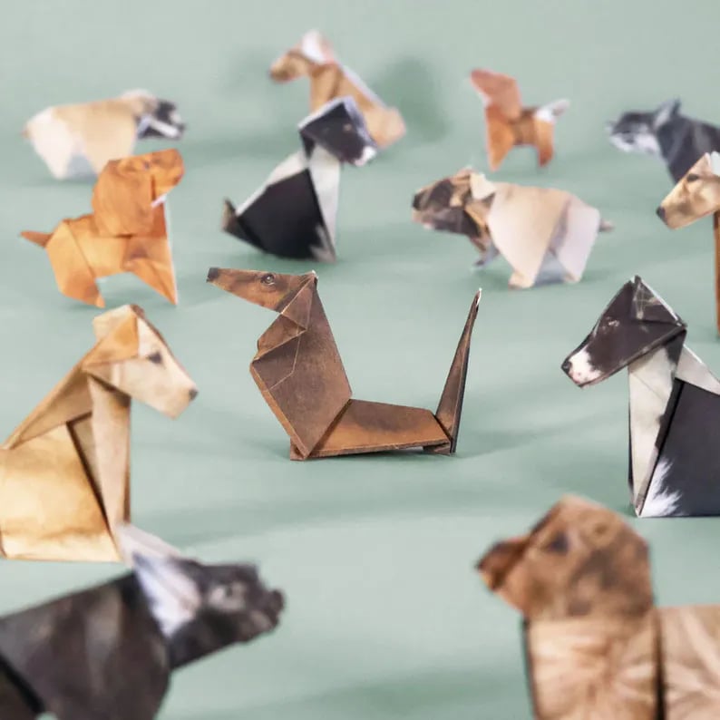 ⏰Buy More Save More😻✨Easy DIY Paper Cats Kit | Guided Lines & Instructions Included