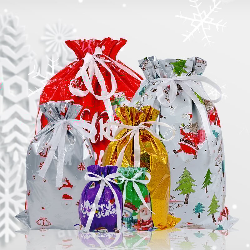 🔥Back in Stock (Limited Time)🎁4 Assorted Sizes | Gift Bags Set with Tags & Ribbon Ties