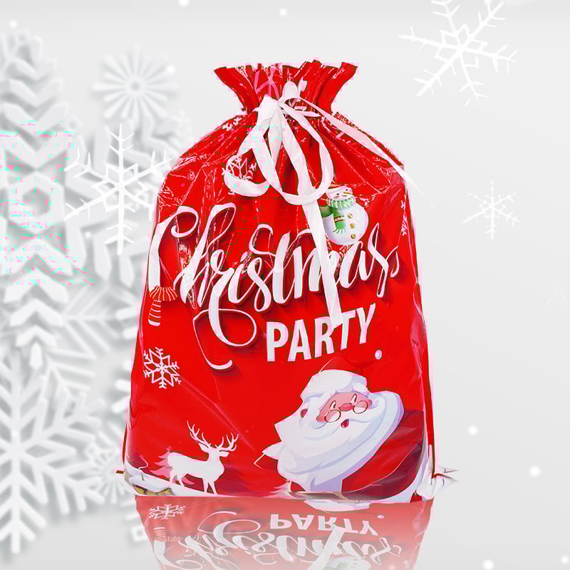 🔥Back in Stock (Limited Time)🎁4 Assorted Sizes | Gift Bags Set with Tags & Ribbon Ties