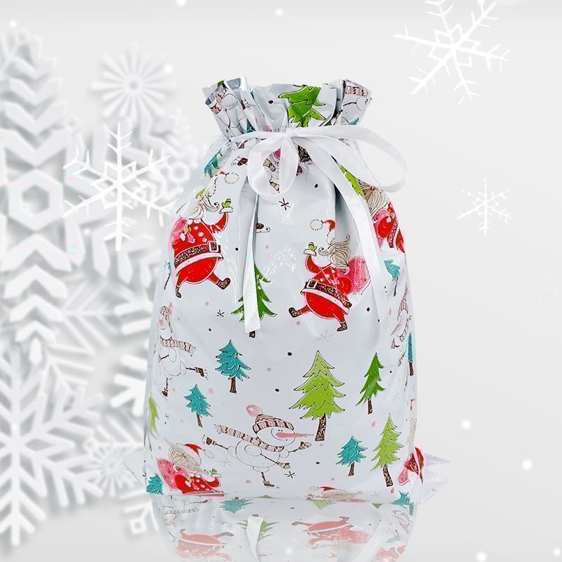🔥Back in Stock (Limited Time)🎁4 Assorted Sizes | Gift Bags Set with Tags & Ribbon Ties
