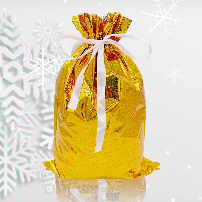 🔥Back in Stock (Limited Time)🎁4 Assorted Sizes | Gift Bags Set with Tags & Ribbon Ties