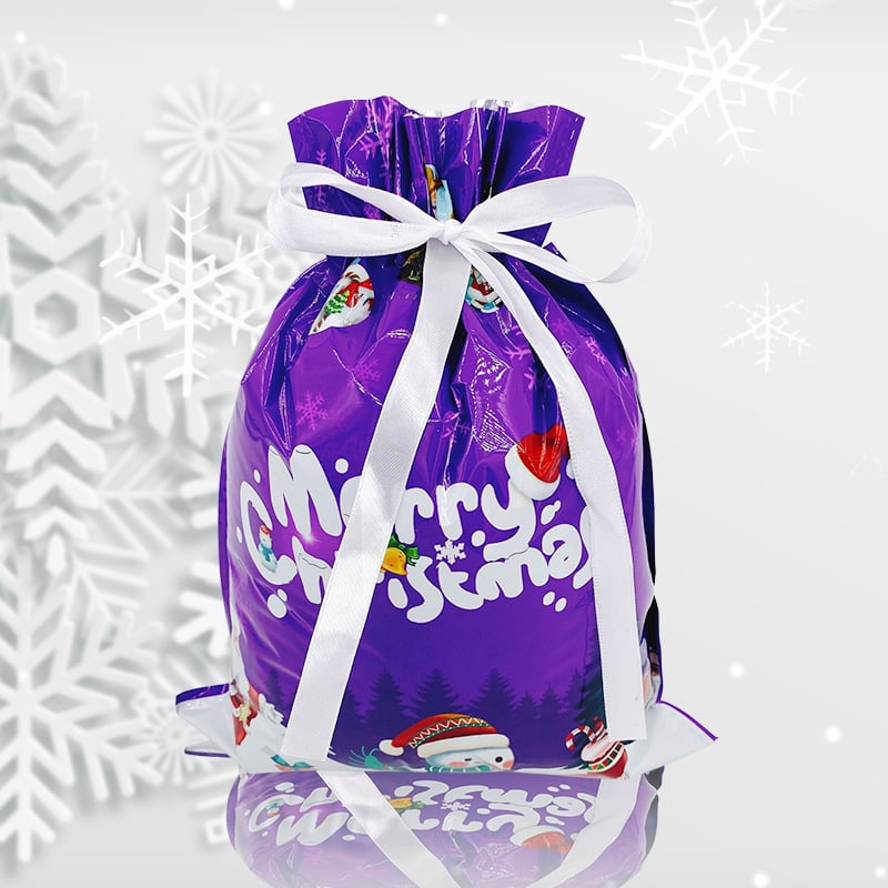 🔥Back in Stock (Limited Time)🎁4 Assorted Sizes | Gift Bags Set with Tags & Ribbon Ties
