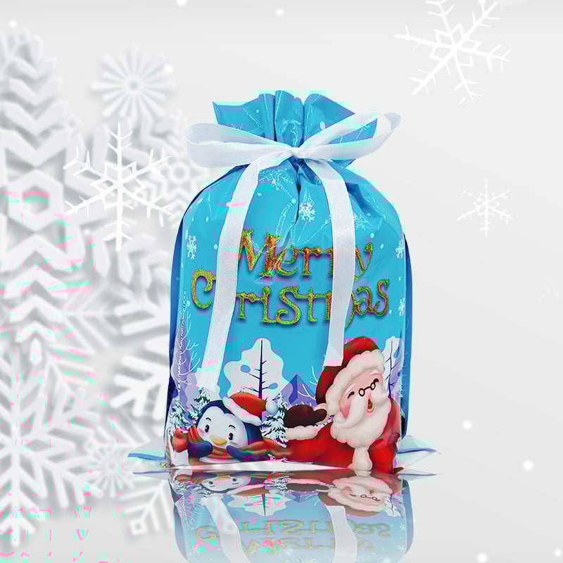 🔥Back in Stock (Limited Time)🎁4 Assorted Sizes | Gift Bags Set with Tags & Ribbon Ties