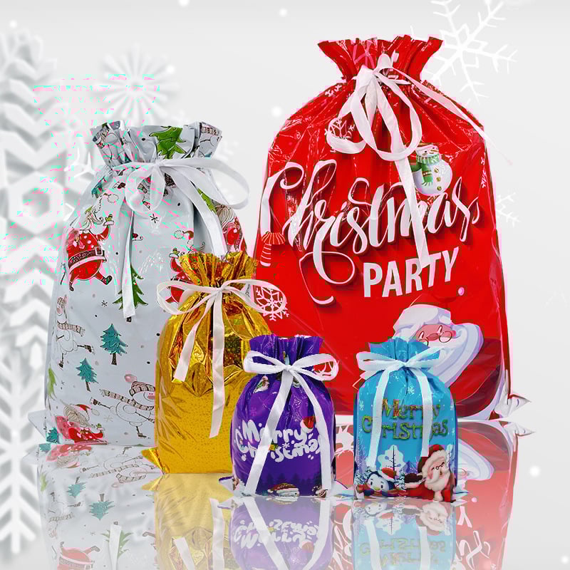 🔥Back in Stock (Limited Time)🎁4 Assorted Sizes | Gift Bags Set with Tags & Ribbon Ties
