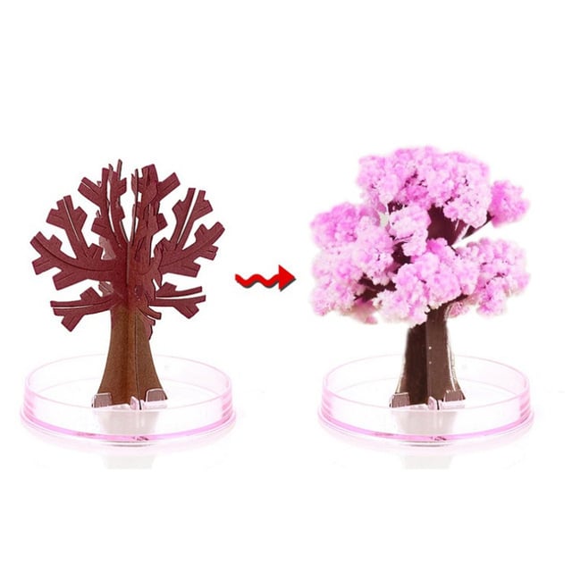 Magical Growing Christmas Tree Paper Tree Blossoms