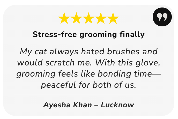 ✨Last Day 49%OFF-Worry-free combing. Reuseable Pet Hair Remover