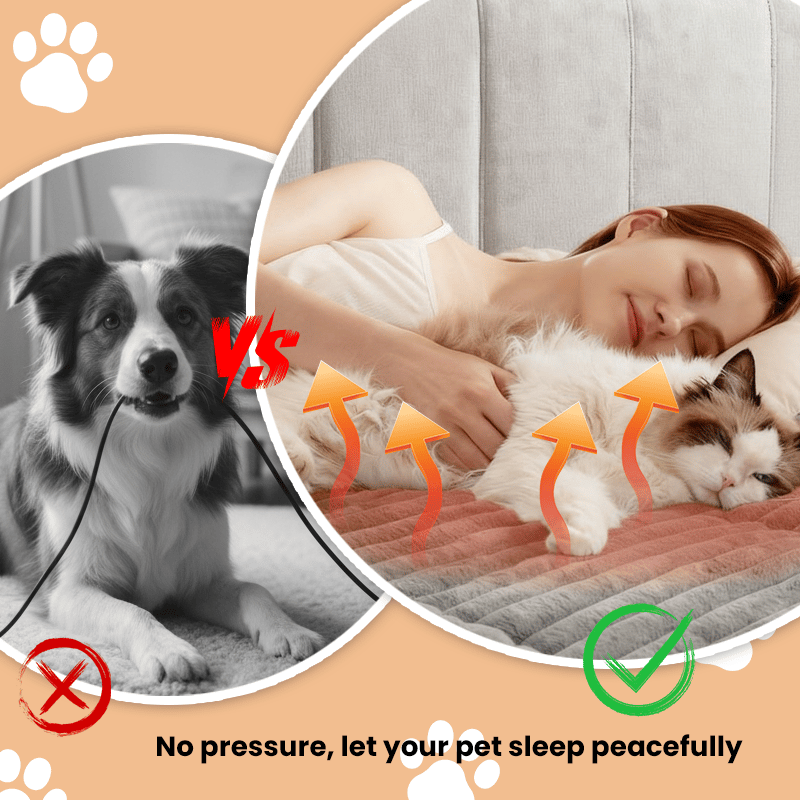 🎁 Get 50% OFF today -🐈Self Warming Pet Bed