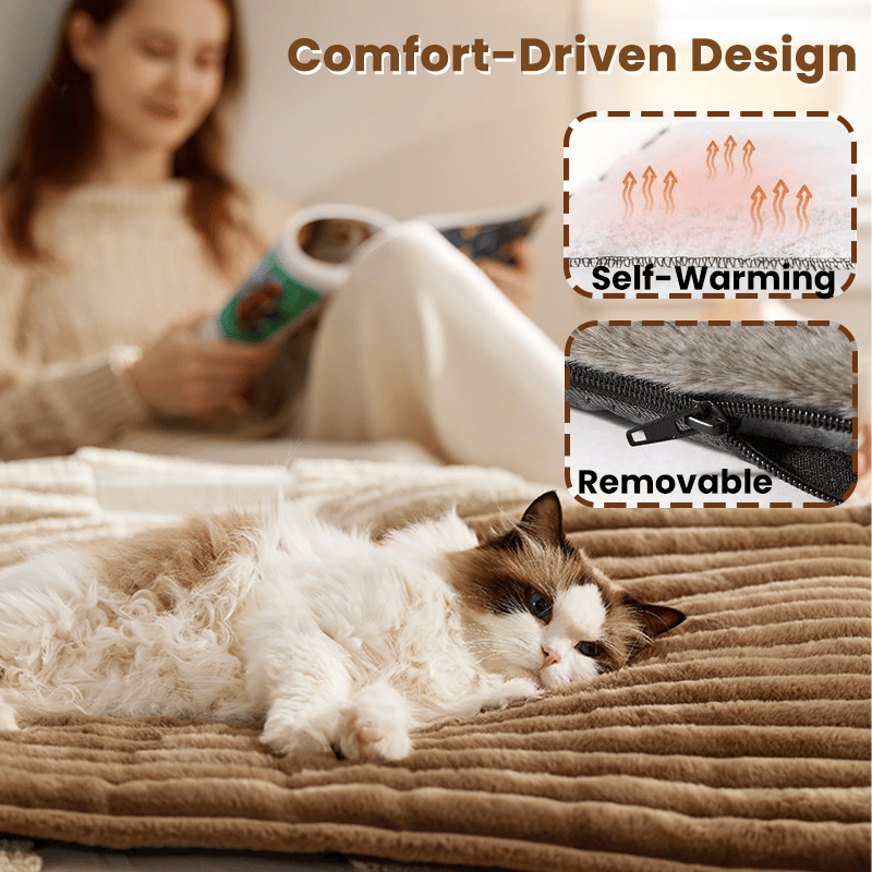 🎁 Get 50% OFF today -🐈Self Warming Pet Bed