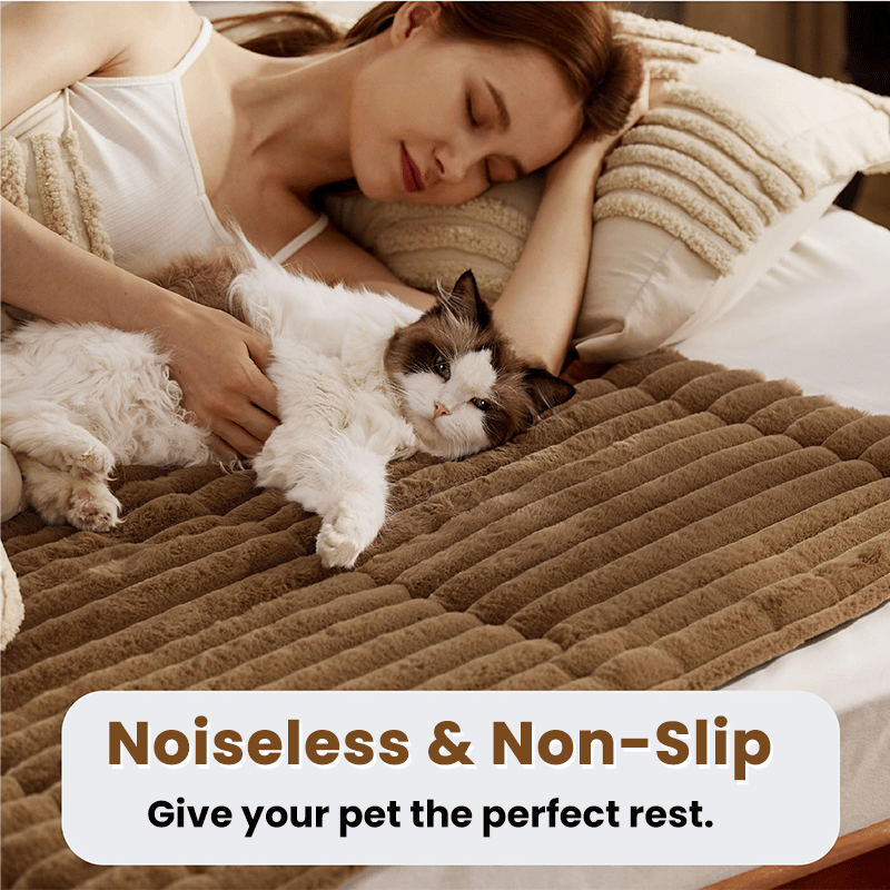🎁 Get 50% OFF today -🐈Self Warming Pet Bed