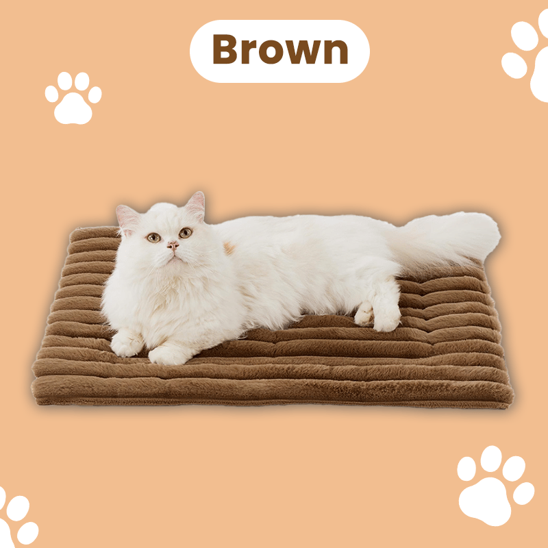 🎁 Get 50% OFF today -🐈Self Warming Pet Bed