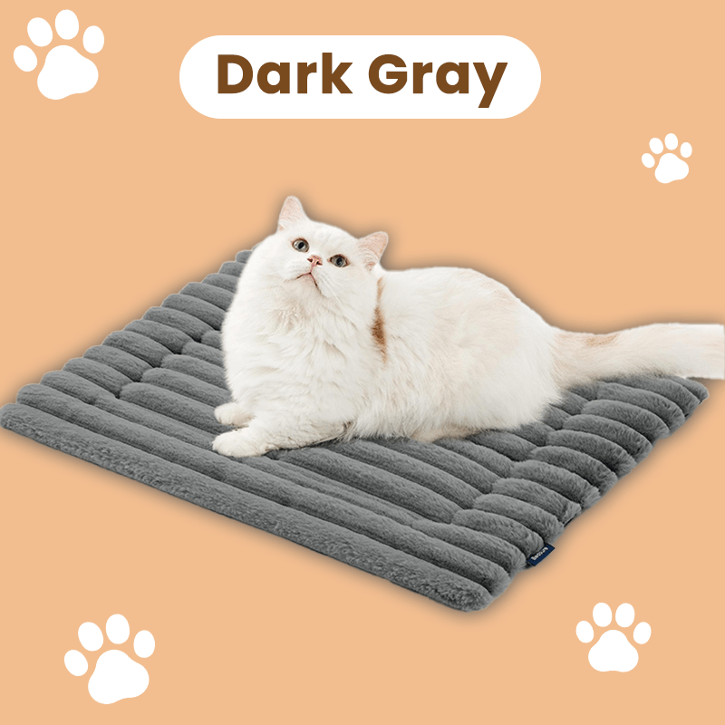 🎁 Get 50% OFF today -🐈Self Warming Pet Bed