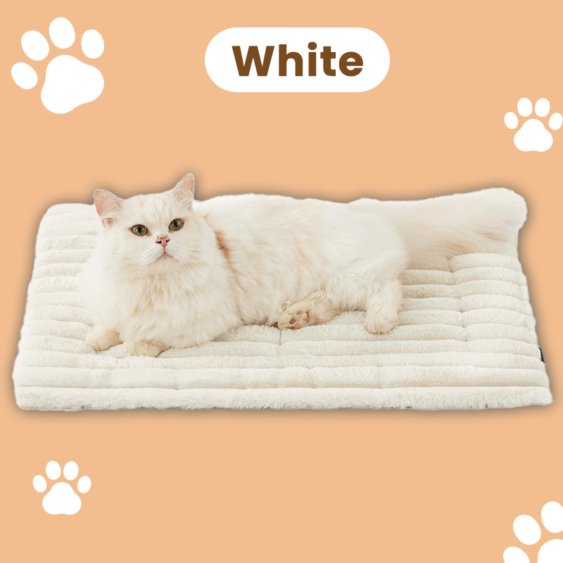 🎁 Get 50% OFF today -🐈Self Warming Pet Bed