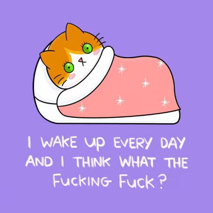 🔥Last Day 50% OFF📖💕‘How To Survive The Bullsh!t’ Book(📚HARDCOVER)