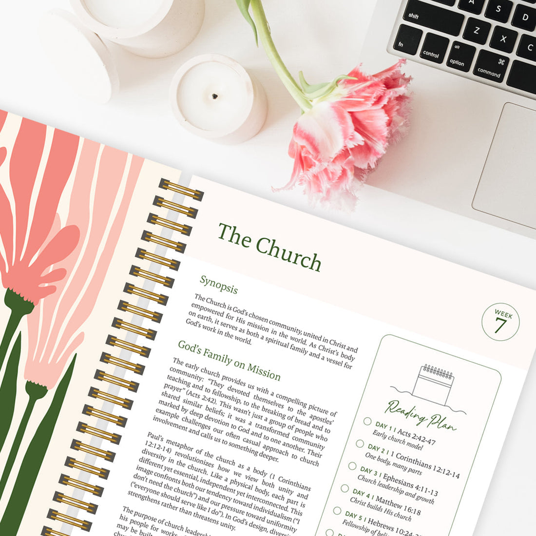 Last Day 49% OFF🔥The Study the Bible for 1 year - 52 Week BibleJournal