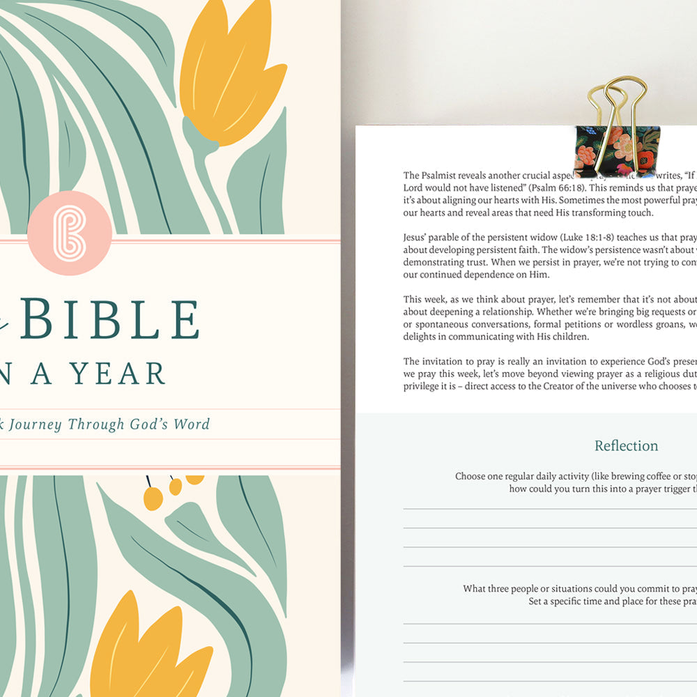 Last Day 49% OFF🔥The Study the Bible for 1 year - 52 Week BibleJournal