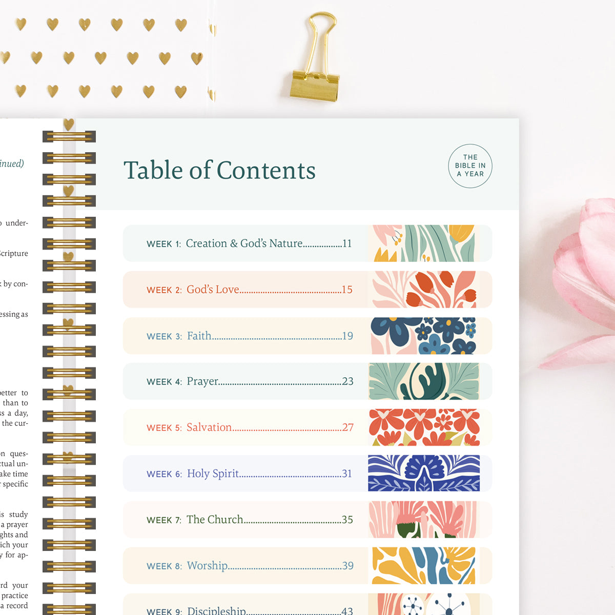 Last Day 49% OFF🔥The Study the Bible for 1 year - 52 Week BibleJournal