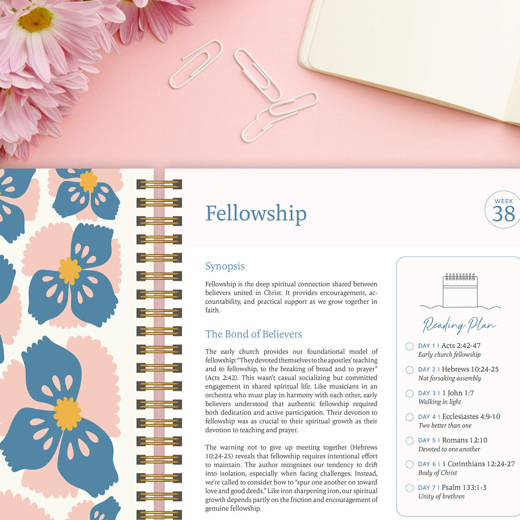 Last Day 49% OFF🔥The Study the Bible for 1 year - 52 Week BibleJournal