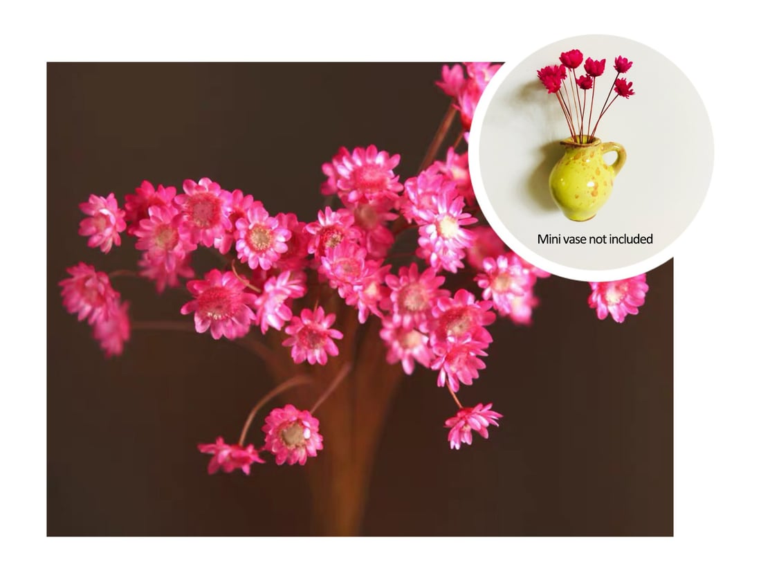 🎁Early Christmas 49% OFF🌸- Mini Ceramics Vase Fridge Magnet