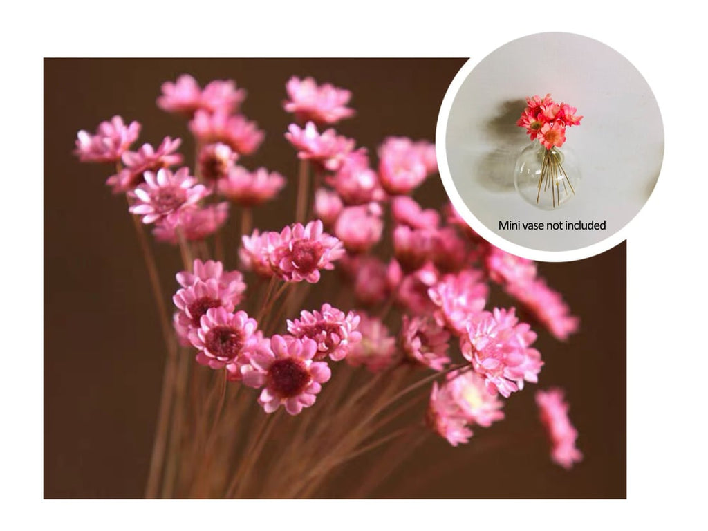 🎁Early Christmas 49% OFF🌸- Mini Ceramics Vase Fridge Magnet