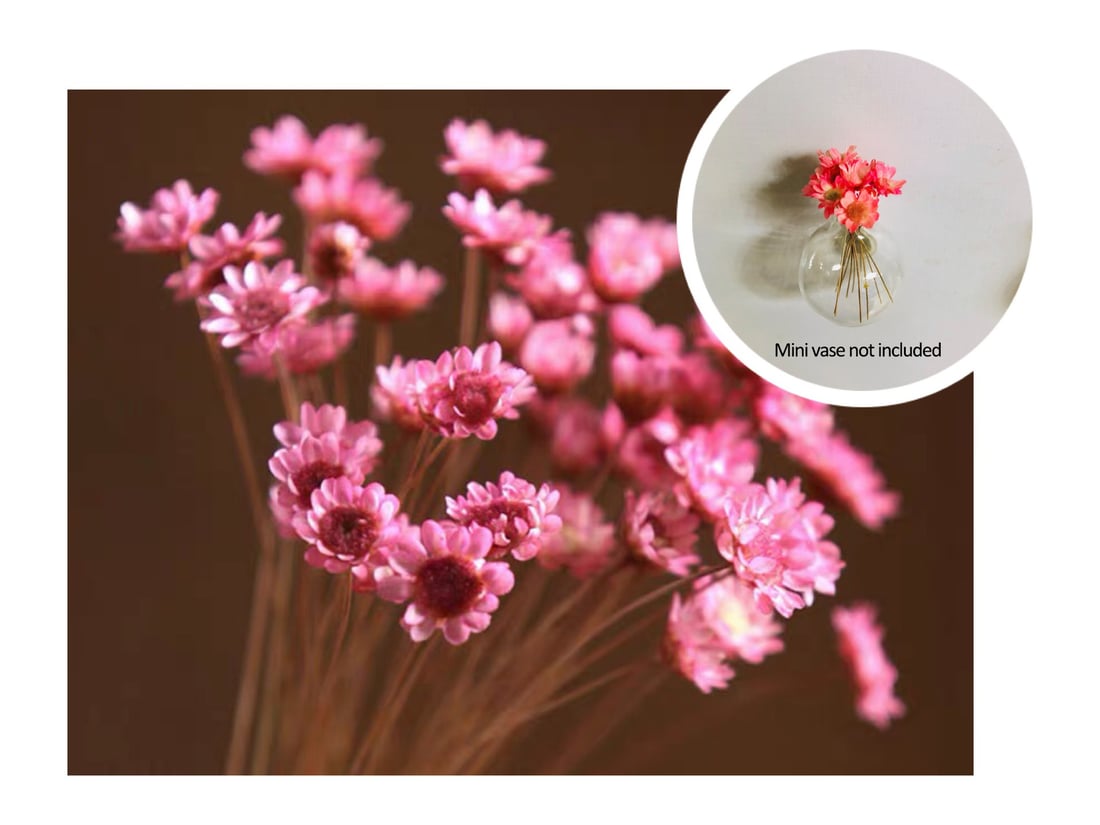 🎁Early Christmas 49% OFF🌸- Mini Ceramics Vase Fridge Magnet