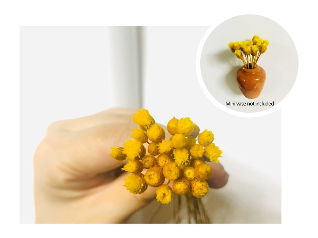 🎁Early Christmas 49% OFF🌸- Mini Ceramics Vase Fridge Magnet