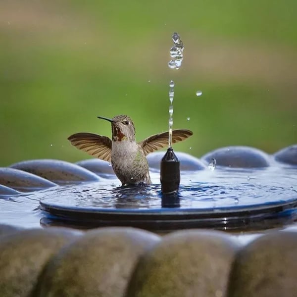 💥Buy 3 Free Shipping💥Solar Powered Water Fountain