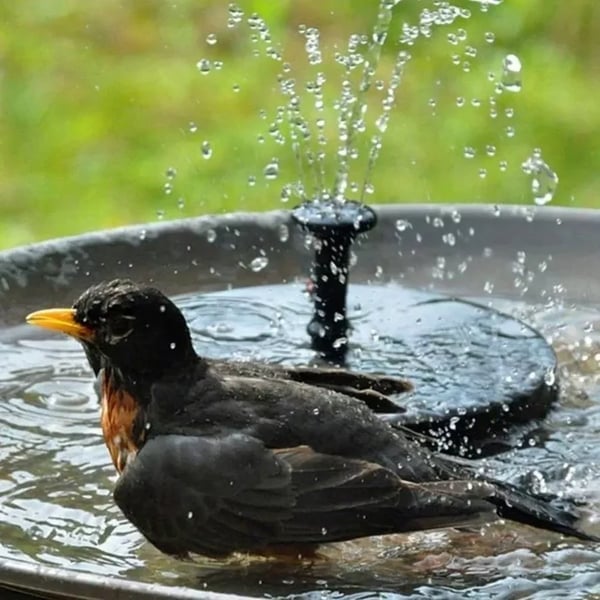 💥Buy 3 Free Shipping💥Solar Powered Water Fountain