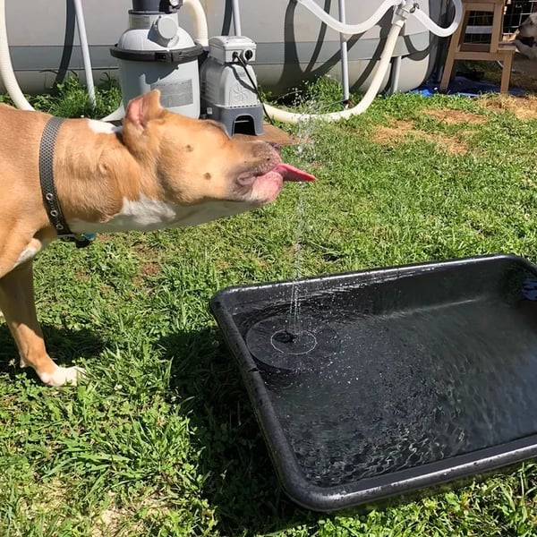 💥Buy 3 Free Shipping💥Solar Powered Water Fountain