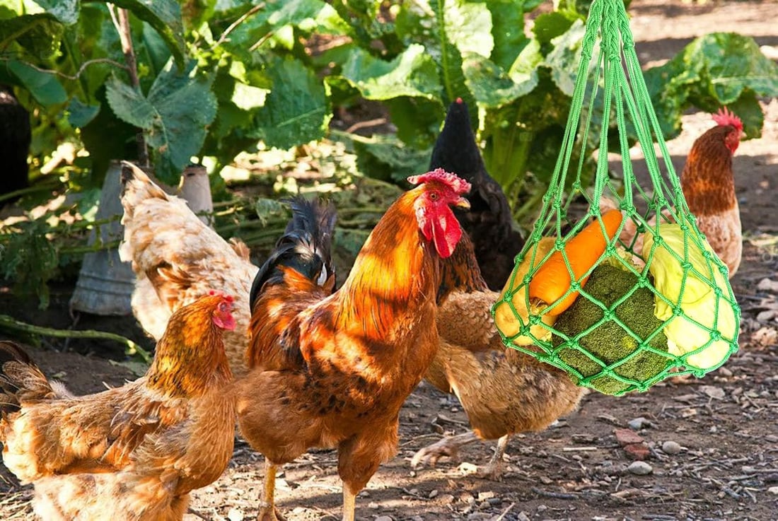 🐔Chicken Vegetable String Bag – Poultry Fruit Holder & Cabbage Feeder with Hook 🥬