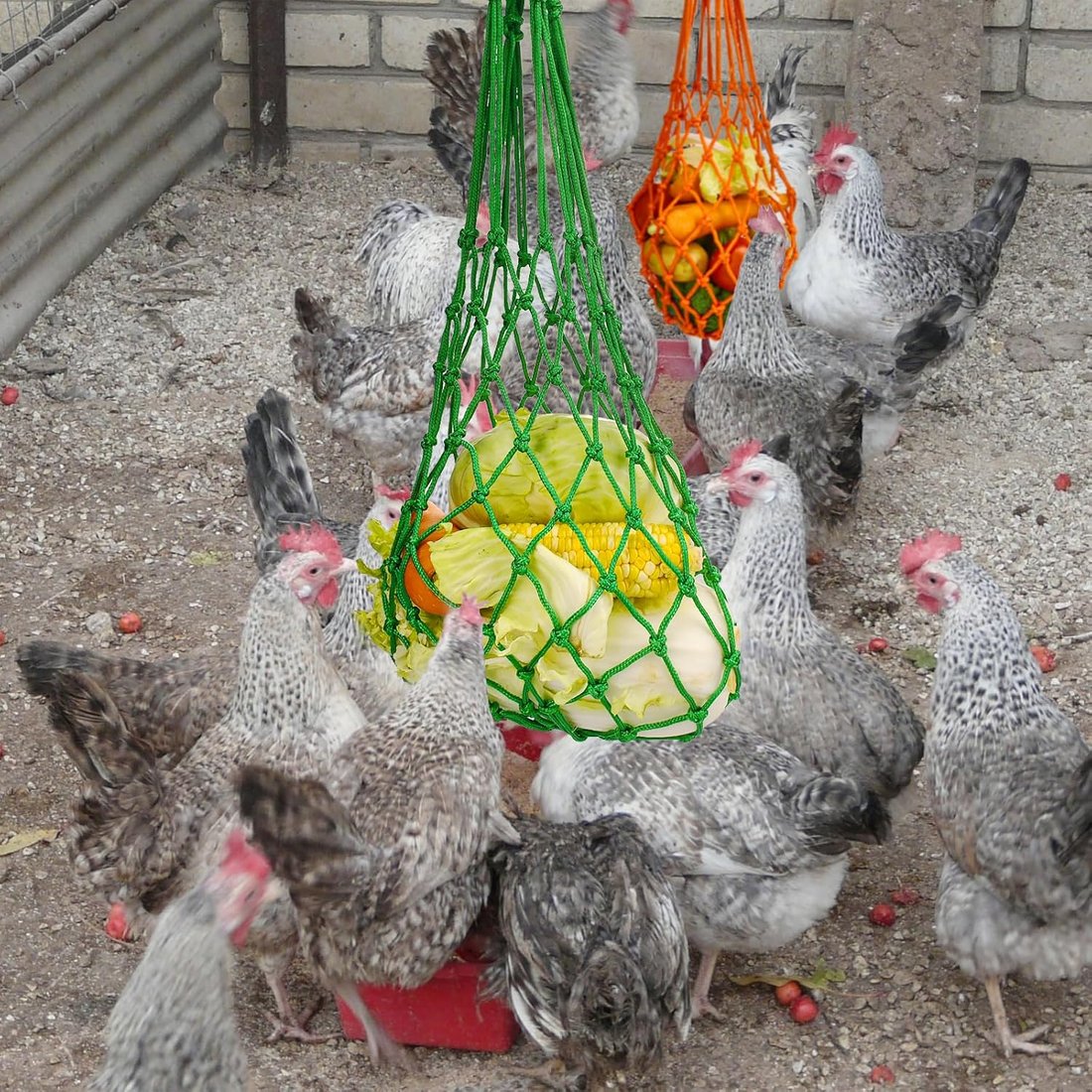🐔Chicken Vegetable String Bag – Poultry Fruit Holder & Cabbage Feeder with Hook 🥬