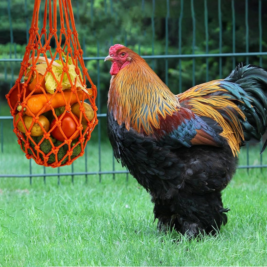 🐔Chicken Vegetable String Bag – Poultry Fruit Holder & Cabbage Feeder with Hook 🥬