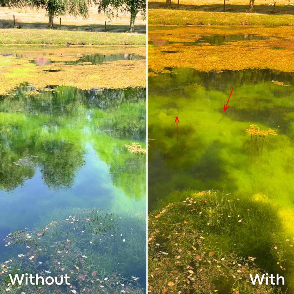 🎣Fishing Glasses – See Fish Clearly Beneath the Water