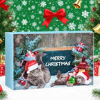 🔥HOT SOLD-Kitten Advent Calendar, Christmas Interactive Cat Toys