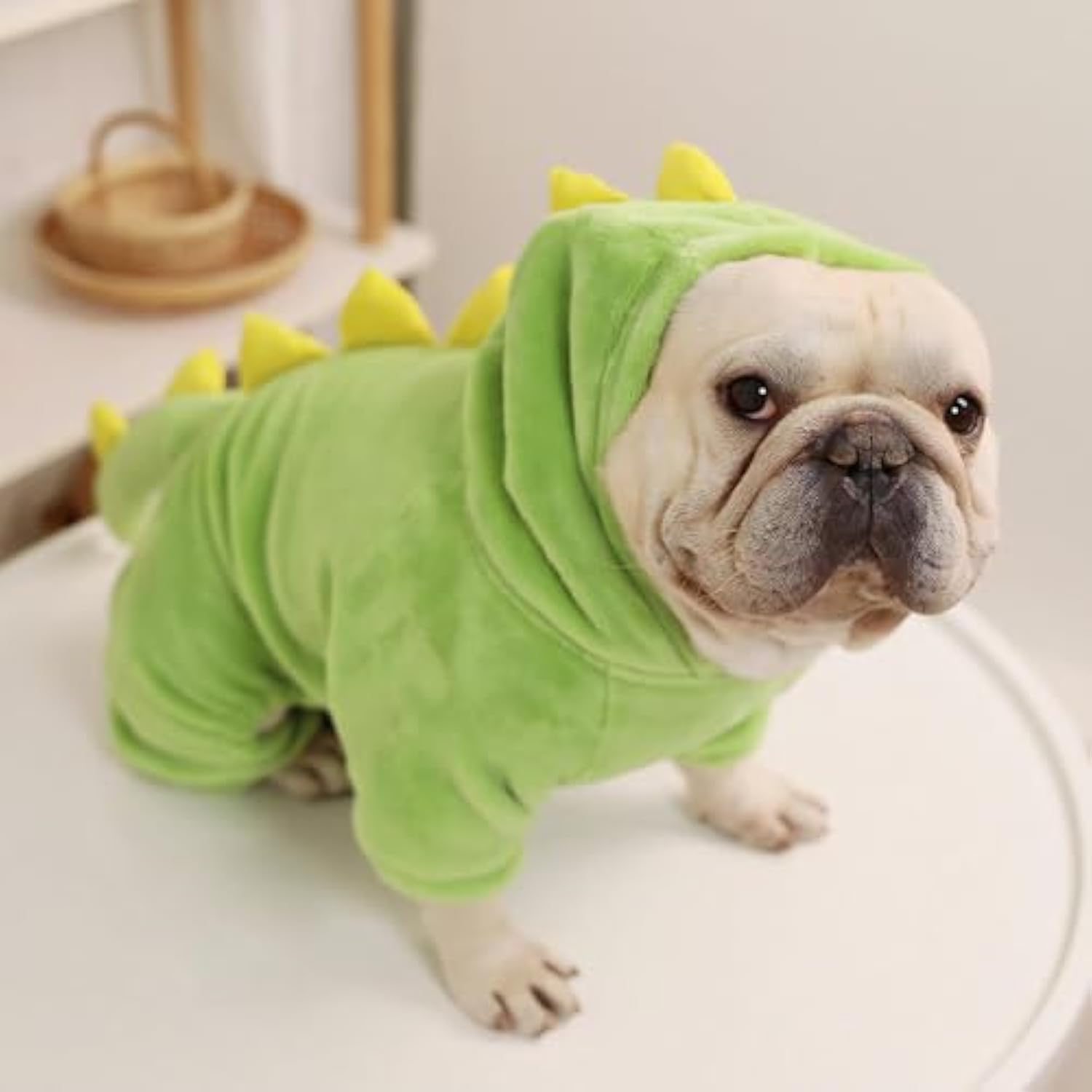 ✨Last Day 49%OFF-Dinosaur design. Warm. Cute. Funny Dog Costumes
