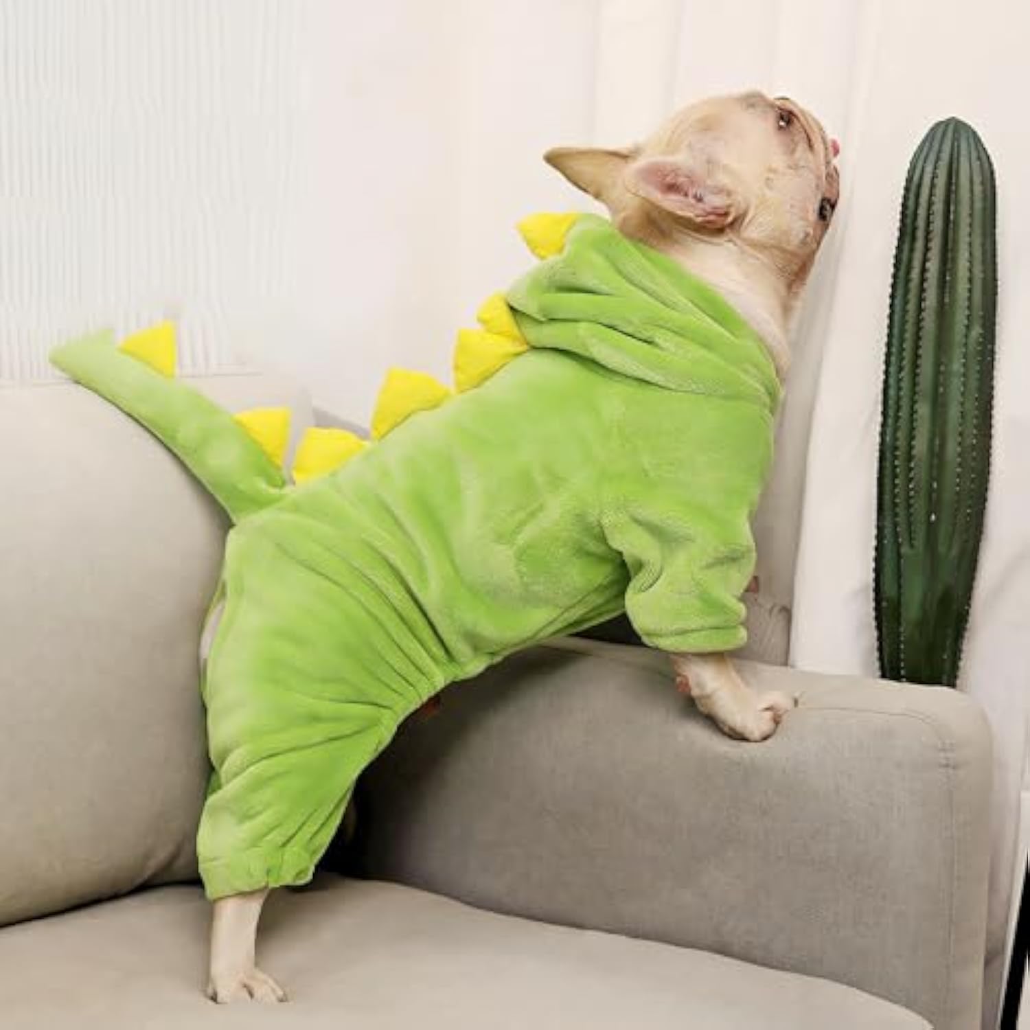 ✨Last Day 49%OFF-Dinosaur design. Warm. Cute. Funny Dog Costumes