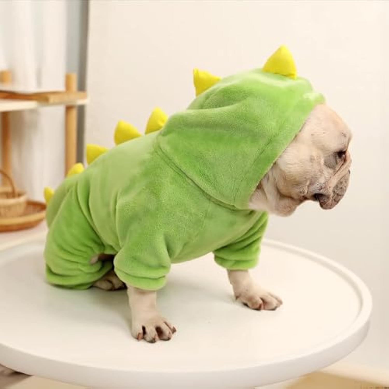 ✨Last Day 49%OFF-Dinosaur design. Warm. Cute. Funny Dog Costumes